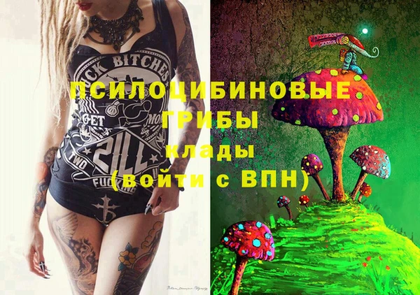 не бодяженный Арсеньев
