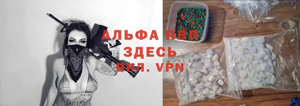 стаф Аркадак