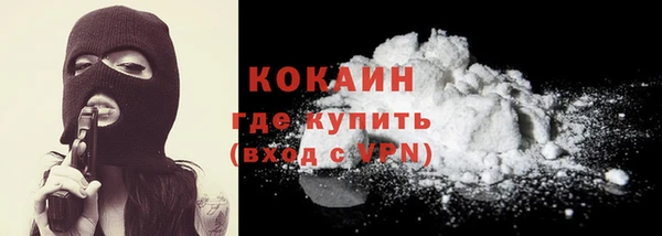 стаф Аркадак