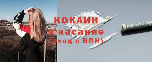 стаф Аркадак