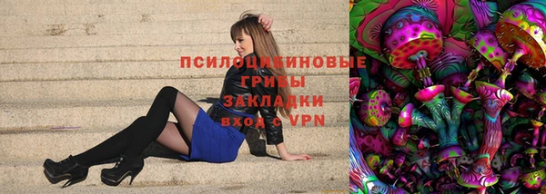 стаф Аркадак