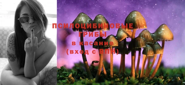 не бодяженный Арсеньев