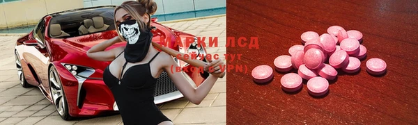 стаф Аркадак